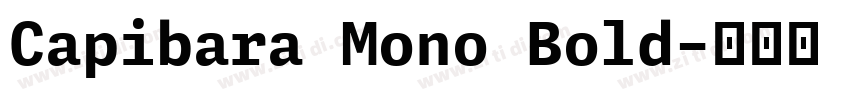 Capibara Mono Bold字体转换